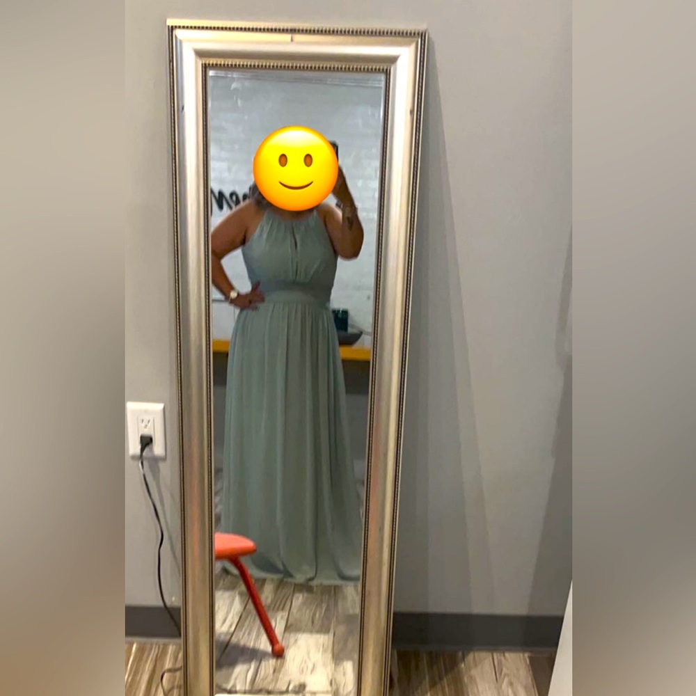 David’s Bridal Bridesmaid dress.